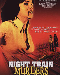 NIGHT TRAIN MURDERS